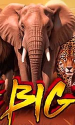The Big 5 - Video-Slot (Exclusive)