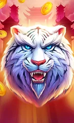 Luck of Tiger